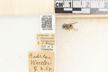 Media type: image;   Entomology 773305 Aspect: Labels